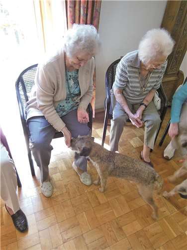 Nach ihren gezeigten Kunststücken bekamen die Hunde kleine „Leckerli“ von den Senioren. privat