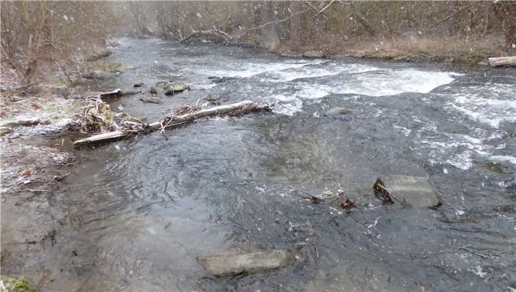 Nachdem das alte Wehr beseitigt wurde,haben Wanderfische freien Durchgang.