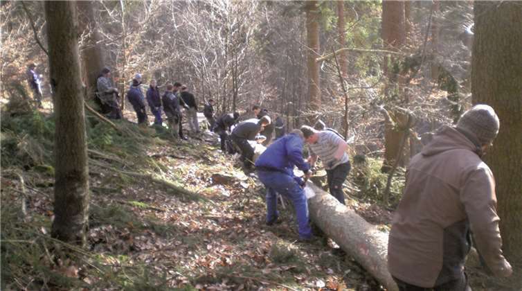 Nachdem der Baum gefällt war, konnten die bereitstehenden Mitglieder samt Schälmessern ihre Arbeit verrichten. privat