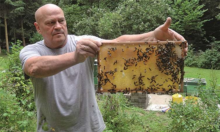 Vater-Kind-Wanderung fand statt Vater-Kind-Wanderung fand statt