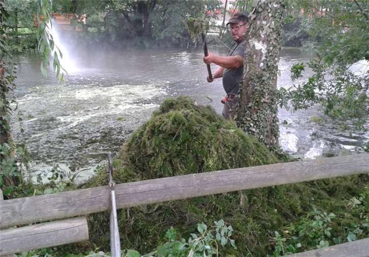 Nachdem die freiwilligen Helfer Algen und Teichlinsen entfernt haben, ist das Wasser wieder klar.  privat