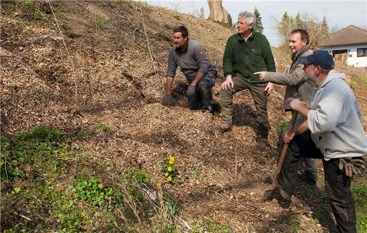 Nachdem kürzlich im Rahmen von notwendigen Verkehrssicherungsmaßnahmen Bäume in der Brauereistraße in Dierdorf gefällt werden mussten, fand nunmehr eine Neubepflanzung mit verschiedenen Gehölzen statt.Foto: privat