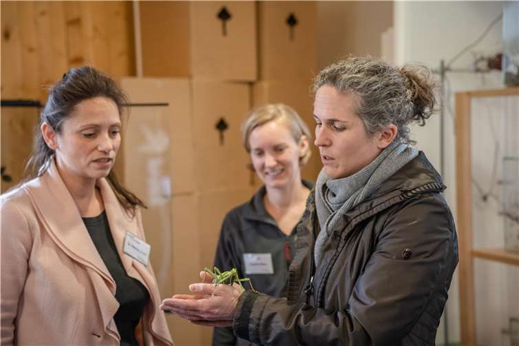 Nachhaltigkeit und Klimaschutz im Blick: In der Umweltlernschule Plus in Niederzissen haben sich Besucherinnen und Besucher am Tag der offenen Tür über das Konzept der Einrichtung informiert.  Foto: Bernhard Risse