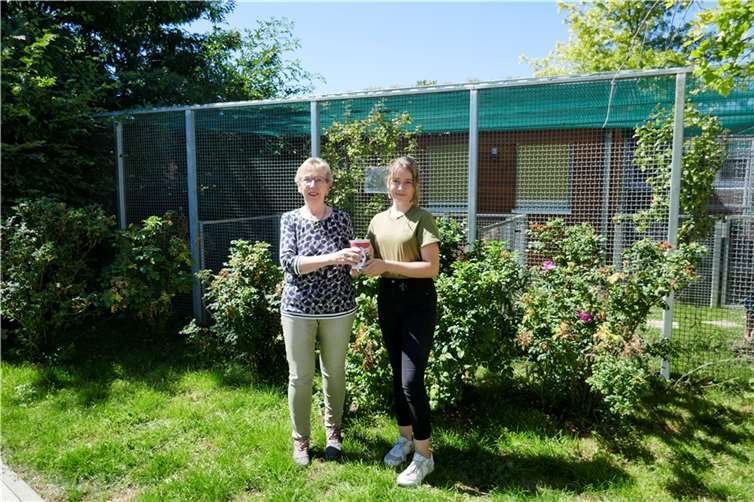 Nachmachen erlaubt: Carla inspiriert zu weiteren Spendenaktionen. Quelle: Tierheim Andernach