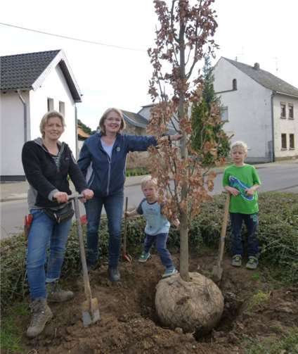 Nadine Bauch und ihre Söhne, sowie Ortsvorsteherin Dagmar Specht haben die Bepflanzung der Säuleneiche vorgenommen. Hubert Schragen