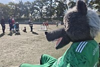 Buntes Kinderfestival mit viel Spaß beim SV Remagen