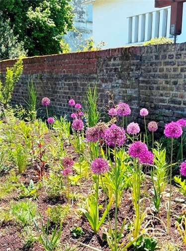 Natürlich müssen die Stauden erst wachsen, dennoch ist das Beet bereits sehr ansehnlich.