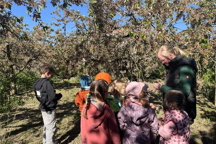 Natur- und Umweltpädagogin Michaela Schmitz zeigt den Kindern die ersten Knospen - bald werden diese zu leckeren Kirschen