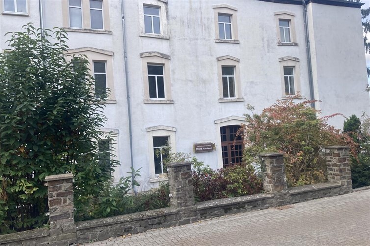 Natur und Verfall machen sich in und um die seit Jahren leer stehende Burg Steineck breit.