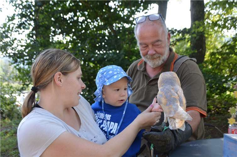 Natur zum hautnah erleben. Foto: Antje Berger/eifelpresse.com.