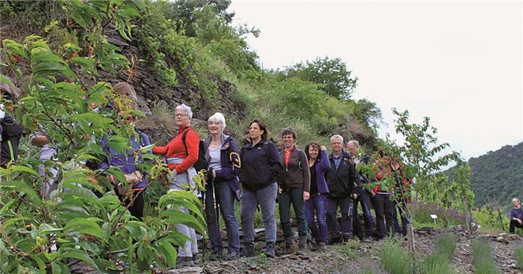 Naturerlebnisbegleiter im Kräutergarten des Razejungewingerts.privat