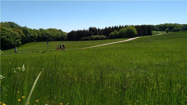 Naturerlebnisse sind im Sahrbachtal garantiert.