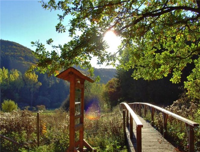 Naturerlebnisse sind im Sahrbachtal garantiert.  Foto: privat