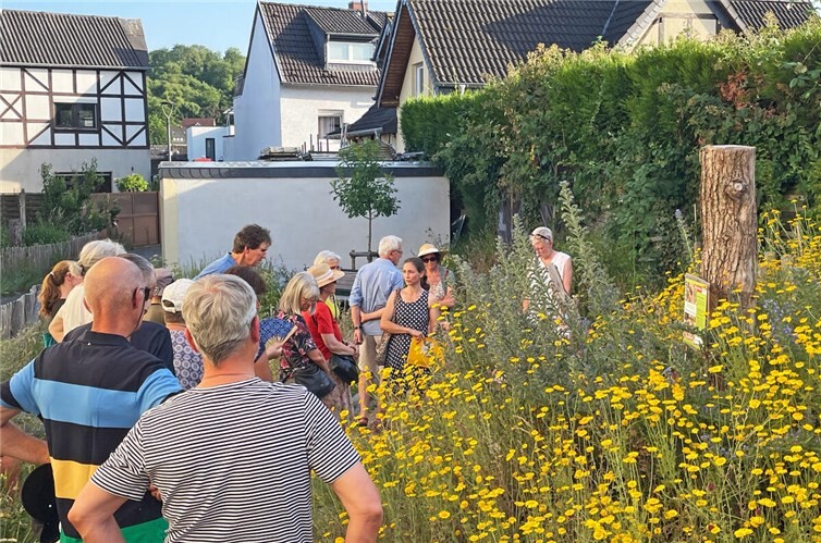 Naturfachliche Führung durch den Sinziger PikoPark.