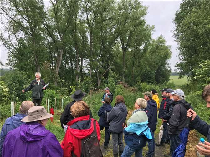 Naturinteressierte Teilnehmer konnten Stadtbürgermeister Thomas Vis und Revierförster Harald Schmidt bei der diesjährigen Exkursion im „Brückrachdofer Teil“ des Stadtwaldes begrüßen. Foto: privat