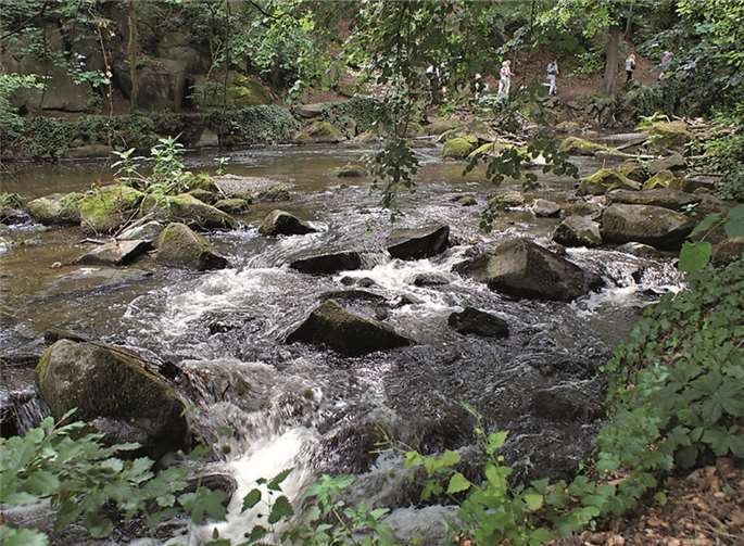 Naturnah und ursprünglich präsentiert sich die Nette in Höhe des Vulkanpark-Infozentrums Rauschermühle.privat