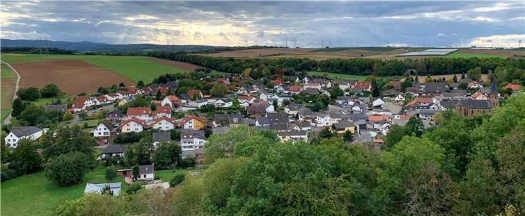 Naturschutz – wie hier im ersten untersuchten Grafschafter Ortsbezirk Nieredorf – geht nur gemeinsam mit der Landwirtschaft. Foto: privat