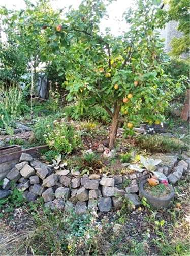 Natursteine umranden einzelne Beete.Foto: privat