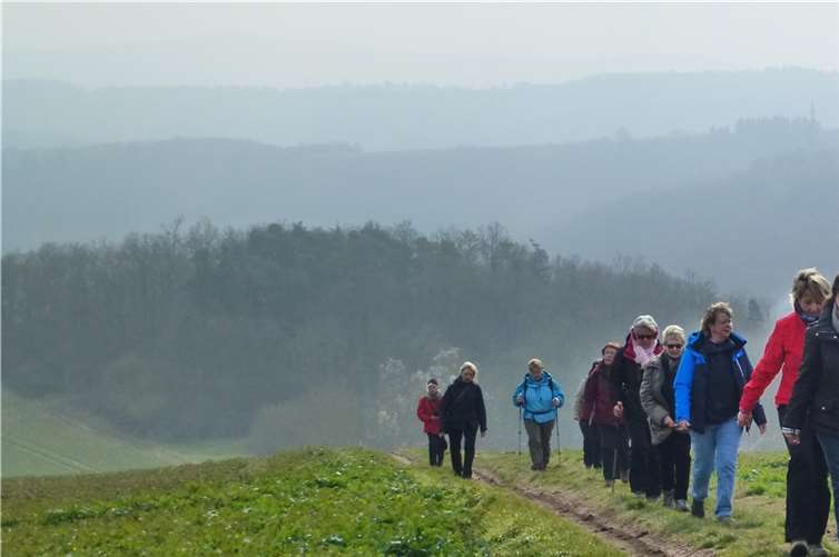 Nebel auf den Eifelhöhen. privat