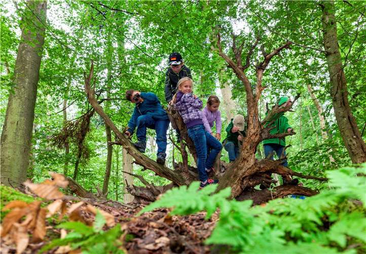 Neben Bewegung an der frischen Luft fördert das Angebot die ganzheitliche Wahrnehmung und das Sozialverhalten der Kinder. Foto: Thomas Rathay/WW-Verein Buchfinkenland