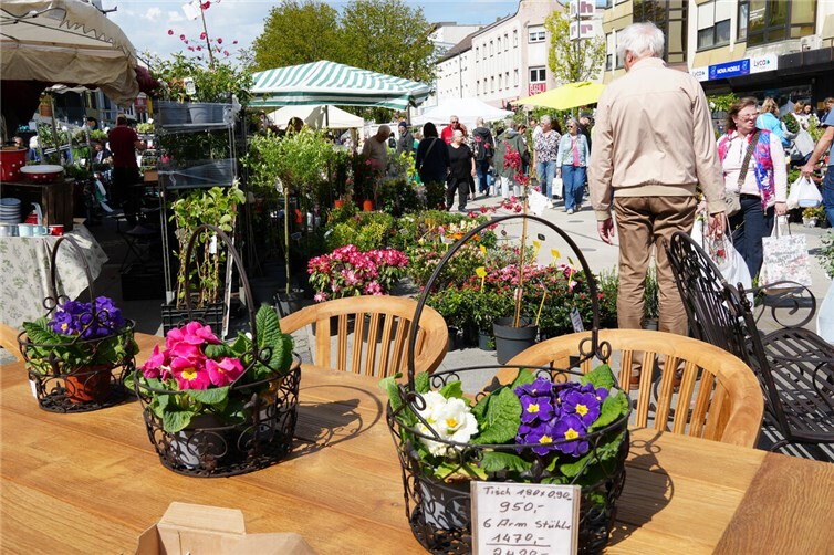 Besucher tauchten in ein Meer aus Blumen und Pflanzen ein