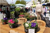 Besucher tauchten in ein Meer aus Blumen und Pflanzen ein