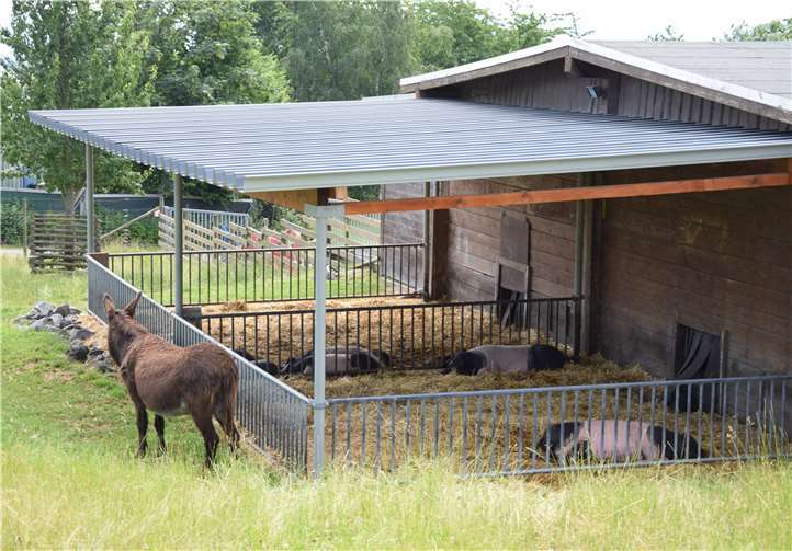 Neben Informationen zum ökologischen Obst- und Gemüseanbau, gab es auf der Permakultur in Eich zahlreiche Tiere zu bestaunen