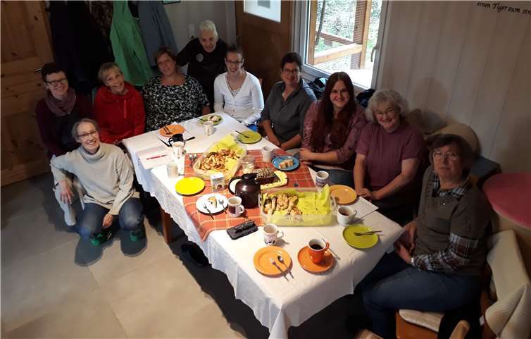 Neben Tipps und Tricks rund um die (Problem)-Katze, Hilfestellungen bei der Profilerstellung der Pflegekatzen samt Bildern, Geschichten aus jüngsten Vermittlungen und dem Austausch von Krankheitserfahrungen ging es auch um die Vorstellung des aktuellen Pflegekonzepts des Vereins.Foto: privat