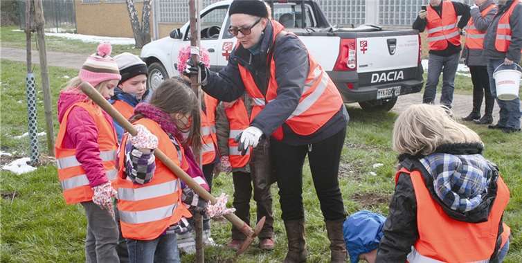 Neben dem Einsammeln von Müll wurde die Umwelt durch die Pflanzung von Bäumen gefördert.privat