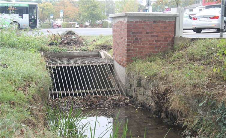 Neben dem Parkplatz an der Fröschpfortstraße verschwindet der Stadtbach unter der Erde. Hier beginnen die Sanierungsarbeiten an der Stadtbachverrohrung.Quelle: Stadt Montabaur
