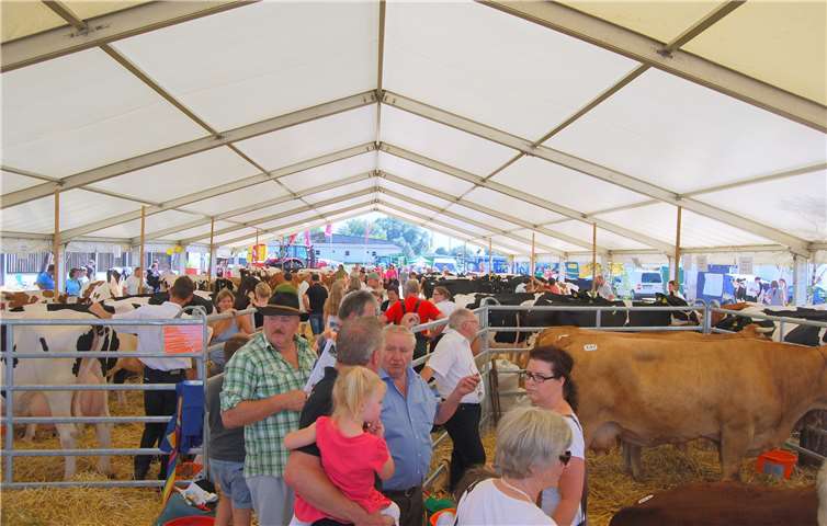 Neben den Ausstellungen, dem Informationsaustausch und Ehrungen ist für das leibliche Wohl bestens gesorgt.Foto: privat