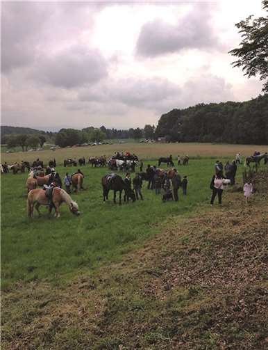 Neben den zahlreichen Pferden wurden auch andere Tiere gesegnet.