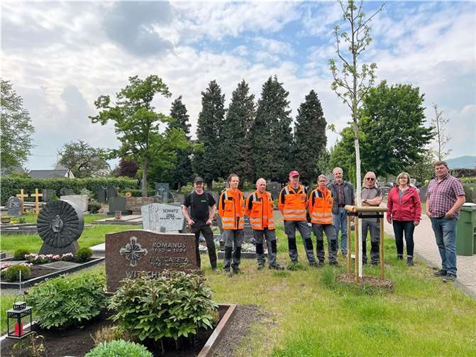 Neben einem der neu gepflanzten Bäume: Mitarbeiter des Bauhofes Kruft und Mitglieder des AK-Friedhof der CDU-Bürgerblock-Fraktion.