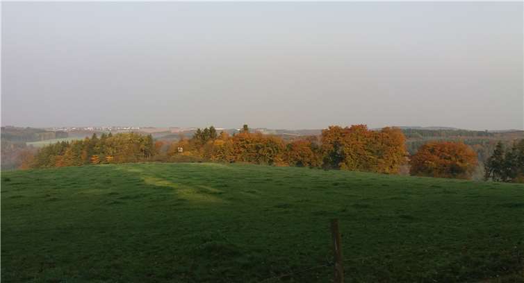 Nebliger Blick auf die wunderschöne Caaner Schweiz.