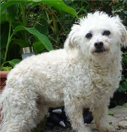 Nelly. Fotos: privat