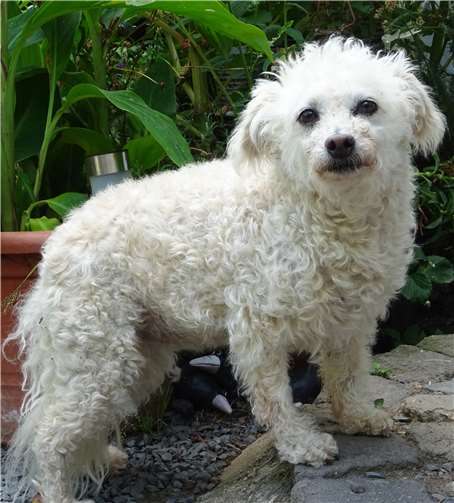 Nelly hält ihre Freunde auf dem Laufenden.Foto: M. Sesterheim