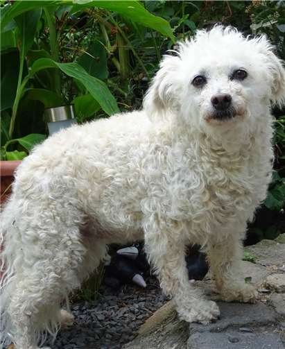 Nelly hält ihre Freunde auf dem Laufenden.Foto: M. Sesterheim