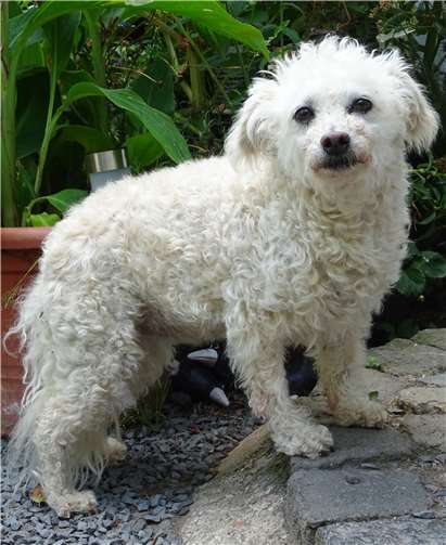 Nelly hält ihre Freunde auf dem Laufenden.Foto: privat