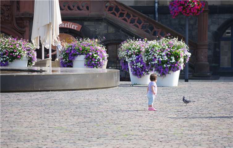Neu auf dem Markt ist der Flower Pot. Er fällt durch seine Größe auf und lässt sich schön bei Feierlichkeiten oder ähnlichem einsetzen.