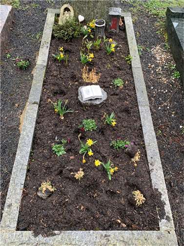 Neue Bepflanzung wird regelmäßig abgefressen.  Foto: privat