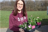 Dorfverein verschönert Luh-Kapellchen