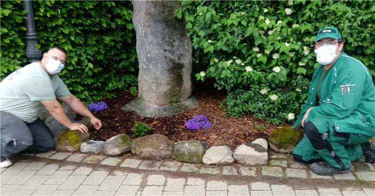 Neue Blumen wurden gepflanzt. Foto: privat