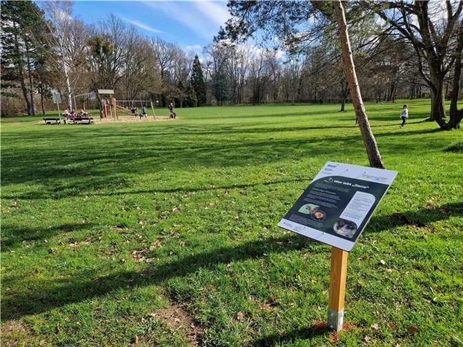 Neue Informationstafel zum Gartenschläfer im Stadtpark. Quelle: Stadt Rheinbach