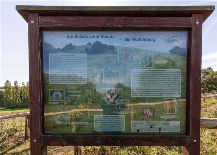 Neue Tafeln informieren über die schützenswerten Magerwiesen und ihre Bewohner.Fotos: CEW