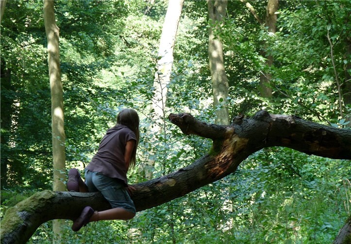 Neue Wege erkunden die Kinder beim abenteuerlichen Waldausflug. privat