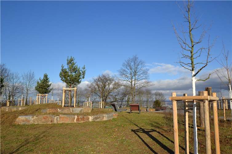 Neuer Aussichtspunkt: Der neue Festungspark Kaiser Alexander bietet einen Panorama-Blick auf die Stadt und die Festung Ehrenbreitstein.Quelle: Stadt Koblenz