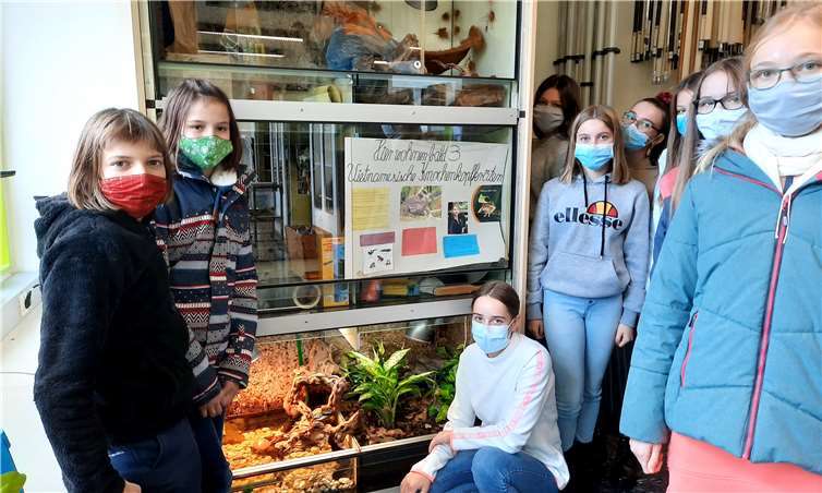 Neun Schülerinnen der Klasse 8d kümmern sich um die neuen tierischen Mitbewohner. Fotos: privat