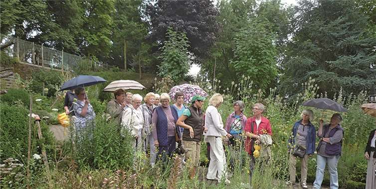 Neuwied. Als Einstimmung auf das Fest Maria Himmelfahrt am 15. August nahmen 40 Frauen auf Einladung der kfd St. Matthias an einer interessanten Kräuterexkursion teil. Im klostereigenen Garten der Waldbreitbacher Franziskanerinnen erläuterte Gärtnerin Kordula Honnef den Frauen die unterschiedlichsten Pflanzen sowie ihre Wirk- und Heilkraft. Jede Teilnehmerin konnte sich anschließend selbst einen Kräuterstrauß binden. Mit einer Meditation, die wegen des regnerischen Wetters in der Mutterhauskirche statt im Bibelgarten stattfand, endete der informative Nachmittag. Privat