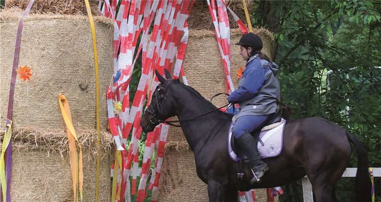 Nicht jedes Pferd wollte die Flatterbänder passieren.WT