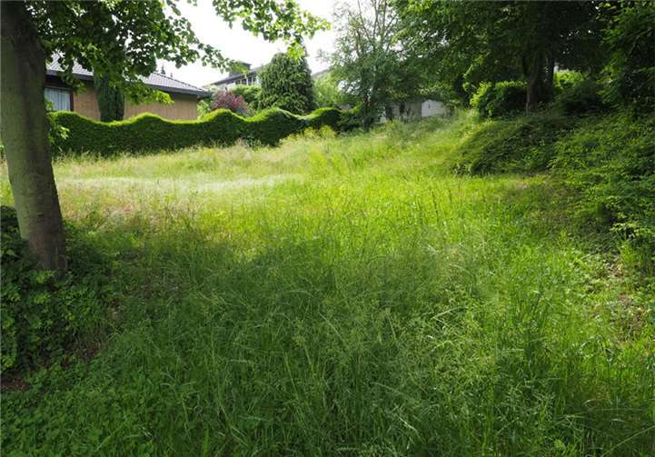 Nicht mehr als Spielplatz zu erkennen ist dieses Gelände im Bereich „Im Herrental“. Wolfgang Seidenfuß/SPD Sinzig